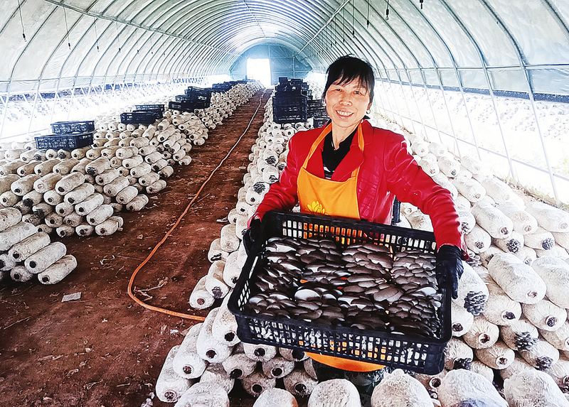 9ea3a7ade816a14e98cd7aa8b5487450_img_308_1247_253_181